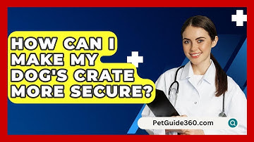 How Can I Make My Dog