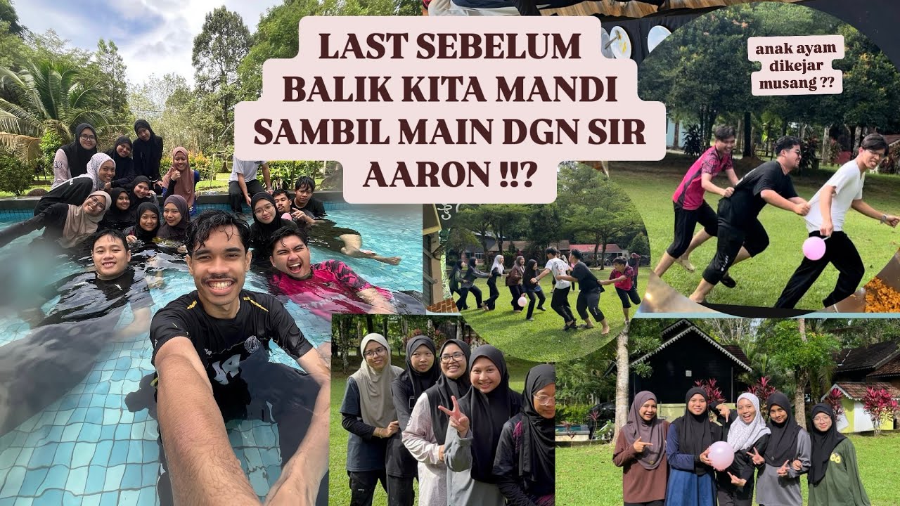 BAPAK AYAM DIKEJAR IBU AYAM ANAK AYAM MATI ANGKARA BAPA AYAM !!? 