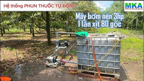 Lắp đặt hệ thống phun thuốc tự động quản lí rầy xanh cho 80 gốc sầu riêng 6 năm theo nhu cầu khách