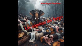 LAS ESQUINAS DEL FUEGO   https://soundcloud.com/maria-raquel-bonifacino