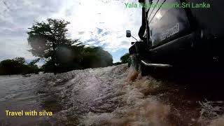#Flooding yala#Travelwithsilva#YalaNationalPark#SriLanka#4x4Adventure#4DR5Jeep#