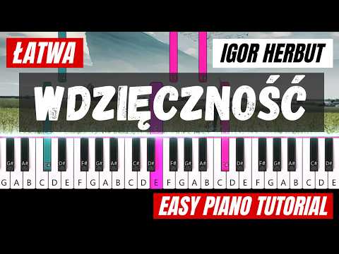 Wdzięczność - Igor Herbut