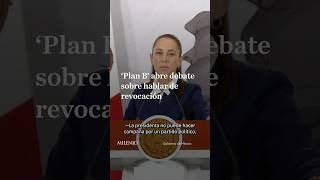 Gobierno plantea cambios para que titular del Ejecutivo hable en revocación de mandato