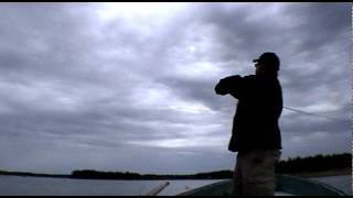 Kalastus Raportti 31.05.2011