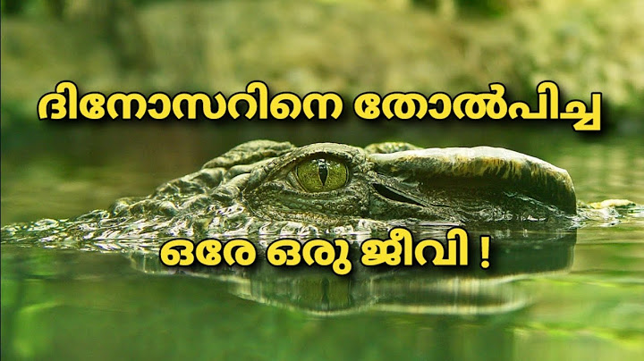 ഇരകളെ  വിഴുങ്ങുന്ന മുതലകൾ #facts #subscribe #interestingfacts #malayalam #crocodile #crocodiles