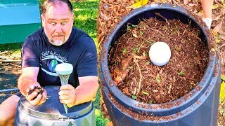 Why EVERY Gardener NEEDS a Compost SNIFFER! by Self Sufficient Me 87,027 views 6 months ago 14 minutes, 42 seconds