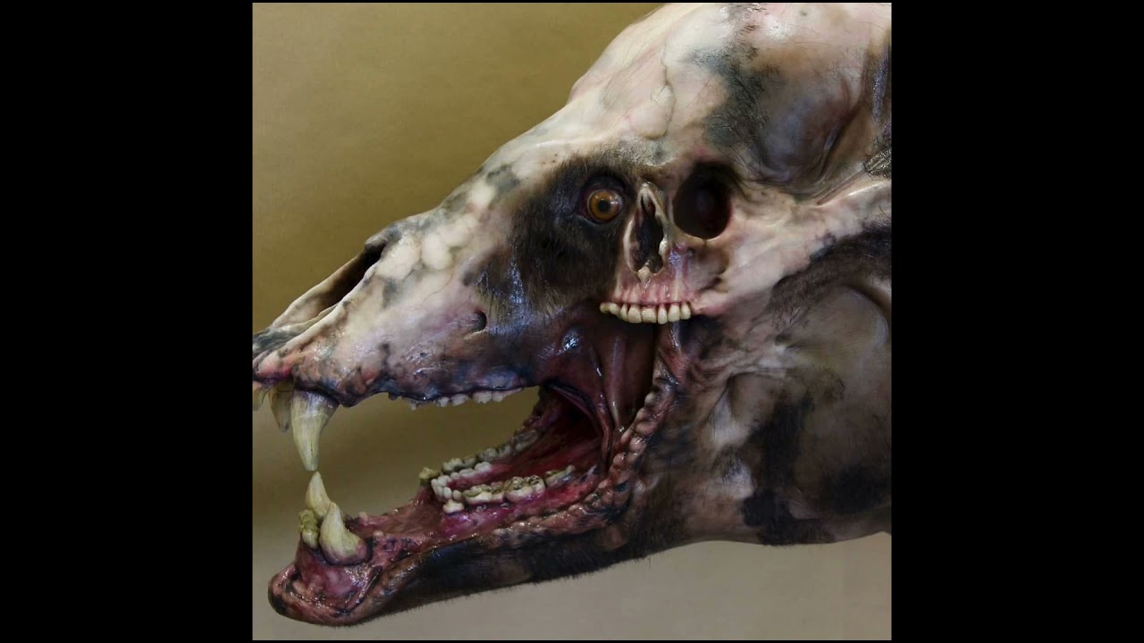 Sonidos del Oso Mutante | Annihilation (2018)