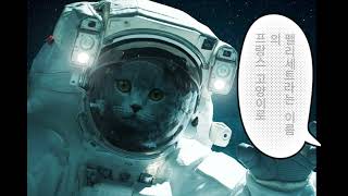 우주로 간 고양이