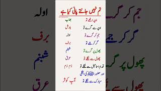 Do You Know What Water Is? Urdu Poetry Explaining The States Of Water