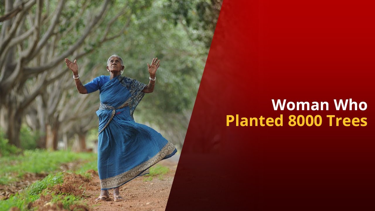 Meet Saalumarada Thimmakka, Mother To More Than 8000 Trees | NewsMo