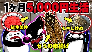 【アニメ】給料日前の限界社畜メシ！1ヶ月5000円生活の食事がヤバすぎた！