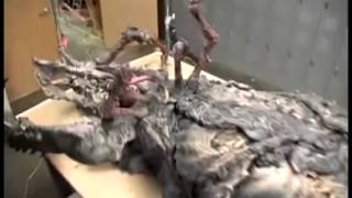 The Thing ADI's Creature Work Behind The Scenes