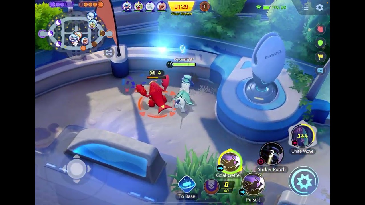 Playing with Absol and Talonflame