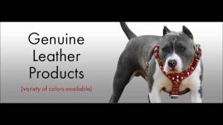 Best Leather Dog Supplies Double Layer Leather Harness