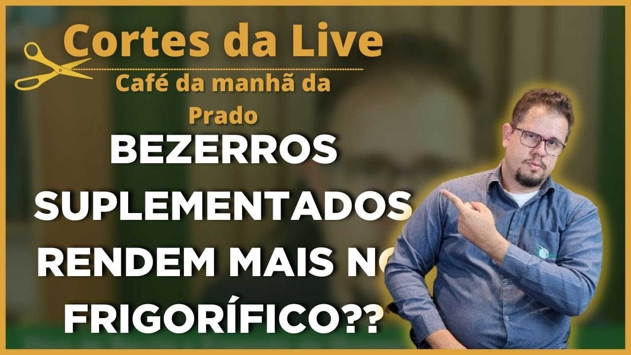 Como AUMENTAR o RENDIMENTO DE CARCAÇA do BEZERRO?