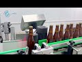 Beer bottle Pasteurizing , Labeling with coding