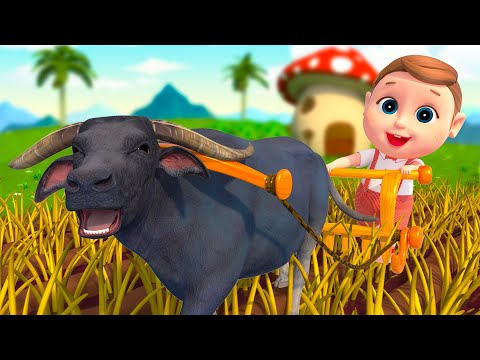 Animal Dance Song | Learn Numbers with Animals | Royal Nursery Rhymes & Kid Song