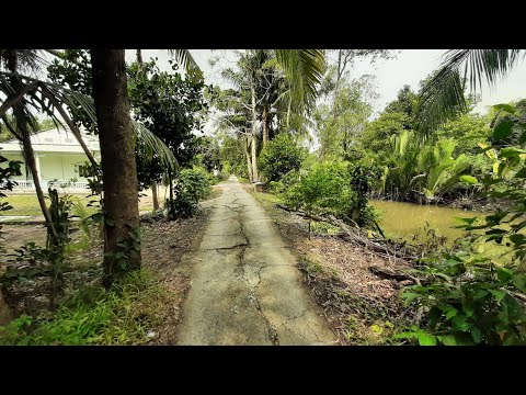 Video Bán 5000m2 Xã Đông Thạnh Châu Thành Hậu Giang - Giá... - YouTube