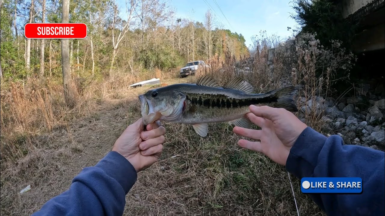 Холодная вода Бассн
