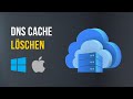 DNS Cache löschen auf Windows und Mac (2024)