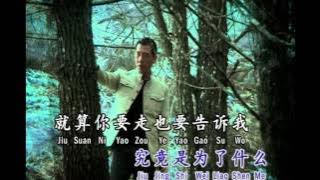 秦咏 恨你不回头