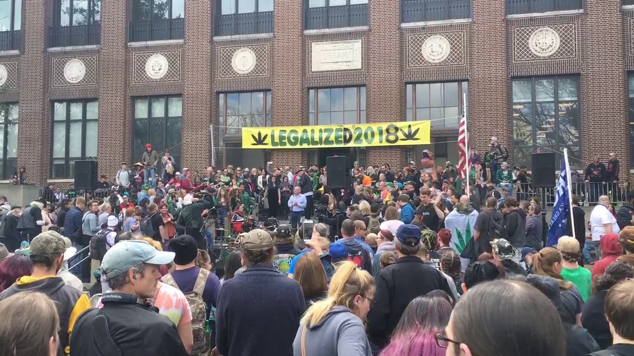 ‘The weed has been freed,’ UM’s PharmSci 420 professor says at Hash Bash