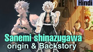 The Wind Hashira - Sanemi Shinazugawa Backstory Hindi Hashira Series Episodes 2