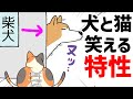【犬猫まんが】犬と猫、それぞれの『笑える特性』とは？