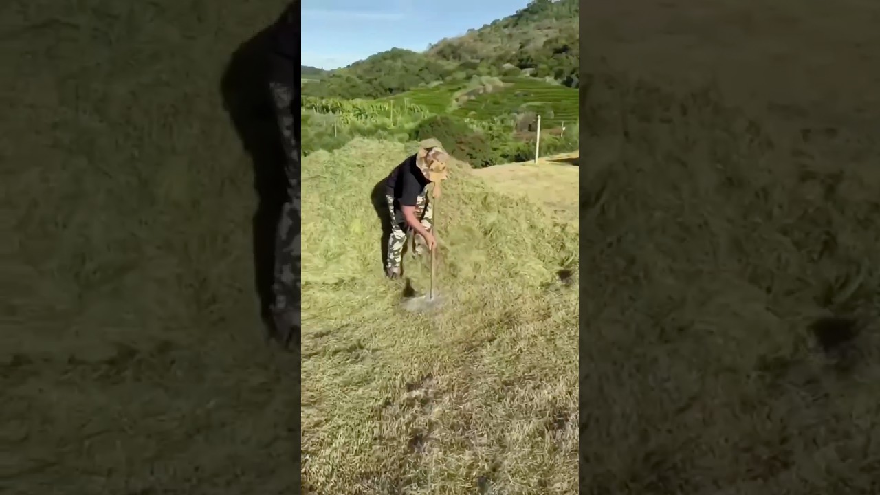 Turning a Trash Fan Grill Into a Rake 😲✨