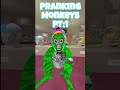 Pranking Innocent monkeys PT: #gorillatag #gorillatagandthishappened #gorillatagquest #gorillatagvr