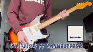 Seahorses - Anamorphosis Cover