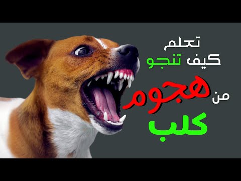 كيف تنجو من هجوم كلب How to Survive a Dog Attack
