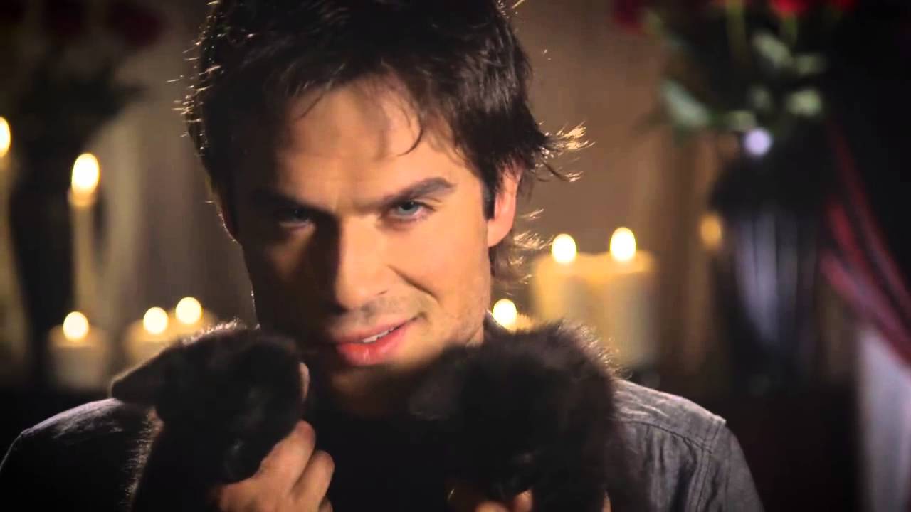 Ian Somerhalder Foundation YouTube