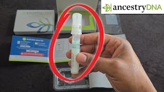 How To Use An Ancestrydna Kit Step-By-Step For Beginners