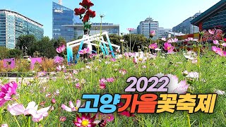 2022 고양가을꽃축제 Goyang Flowers Festival In Autumn - Youtube
