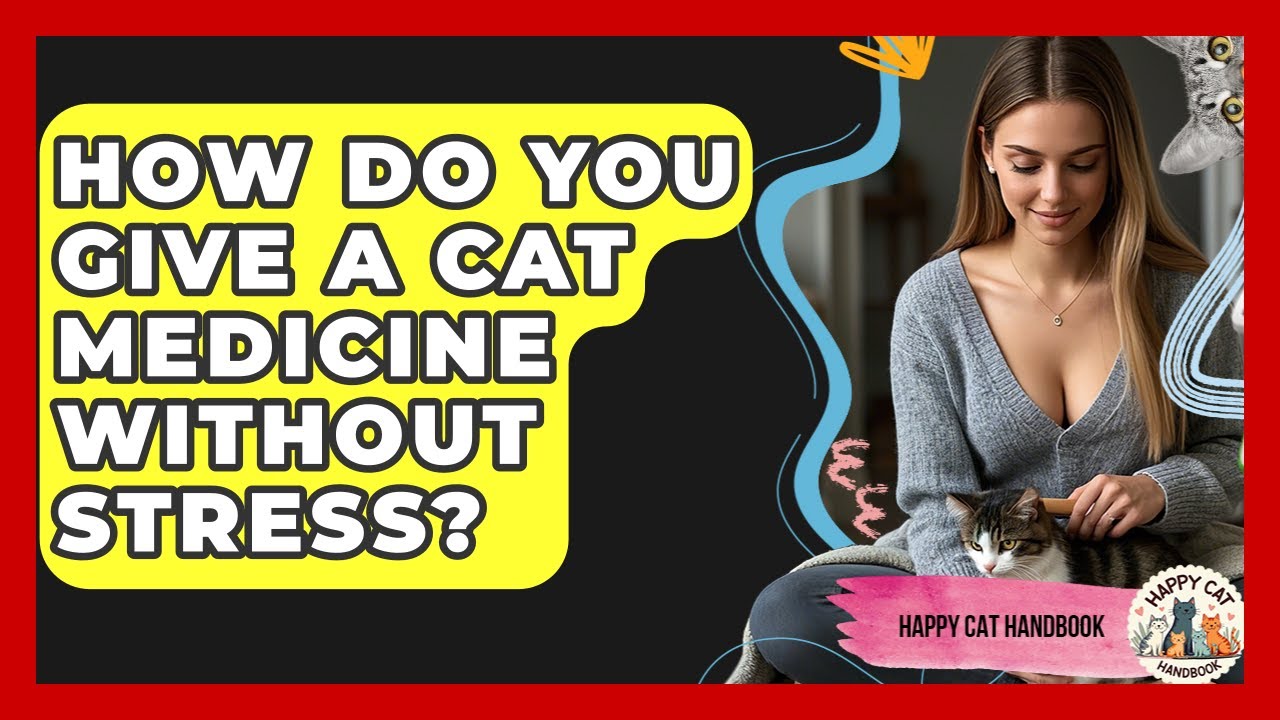 How Do You Give A Cat Medicine Without Stress? - Happy Cat Handbook