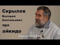 Dialog 8: Скрылев Валерий Анатольевич про айкидо