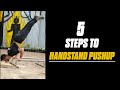 5 Steps to Handstand Pushup | Calisthenics | Progressions | Tutorial | MuscleBlaze | Rajan Sharma