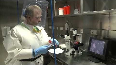 How scientists enter and exit BSL-4 laboratories