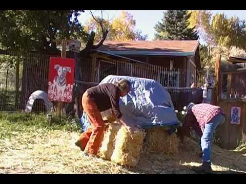 BUILD A STRAW BALE HOUSE FOR YOUR DOG IN TWO MINUTES - YouTube