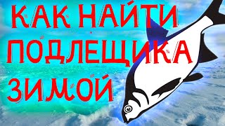 Мормышка. Как найти подлещика зимой на водохранилище.