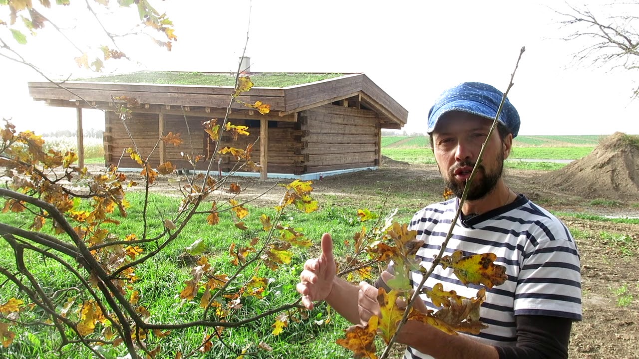 Suchou nohou pod zelenou střechou