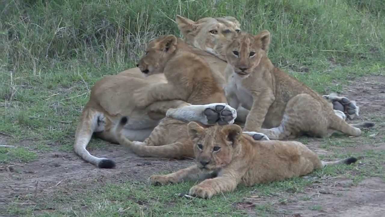 A Snapshot of Kenya YouTube