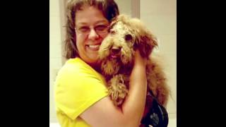 "I Choose You" ~ Licking County Dog Shelter 2016