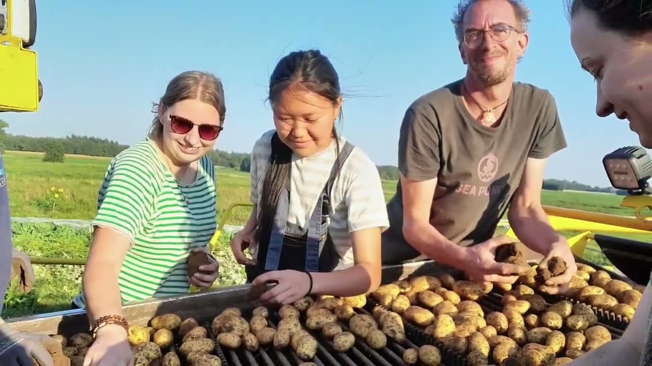 Die SoLawi Hof EmsAuen ist ein Bioland-Hof mit solidarischer Landwirtschaft im nördlichen Emsland