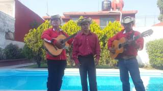 Con Dinero Baila El Perro - El Compita Y Los Toros Sierrenos