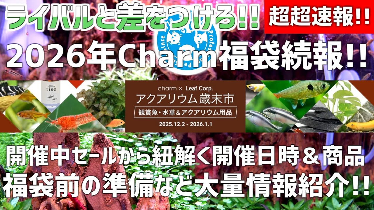 Sale here!?] Charm Lucky Bags are just around the corner! Find out