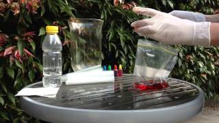 Exploding Lunch Bags Profile