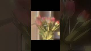 TULIPS🌷 | AESTHETIC EDIT  #tulip #pink #aesthetic #fyp #edit #aesthetics screenshot 3