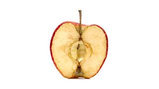 #MINDBLOWN Slow-Down: Fruit Decaying in Slow-Motion
